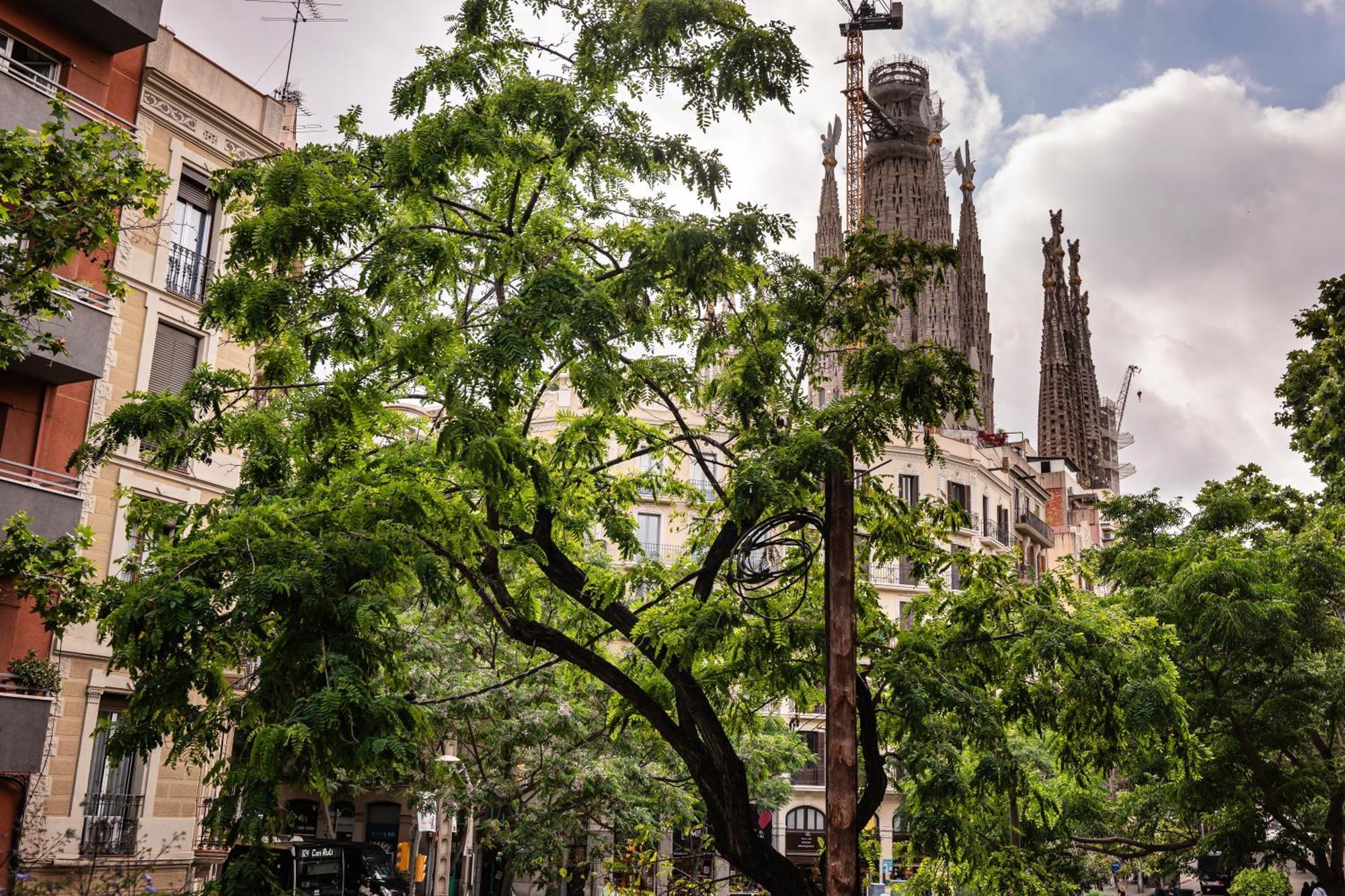 Sweett - Rosemarine Apartment Barcelona Ngoại thất bức ảnh